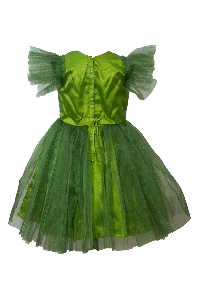 Frill Sleeve Net Frock