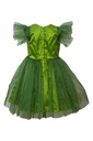 Frill Sleeve Net Frock