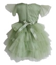 Green Embellished Butterfly Party Frock