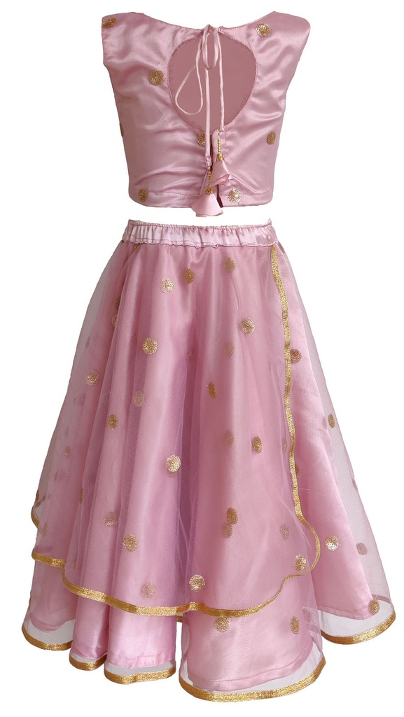 Ethnic Peach Color Lehenga with Boat Neck Blouse