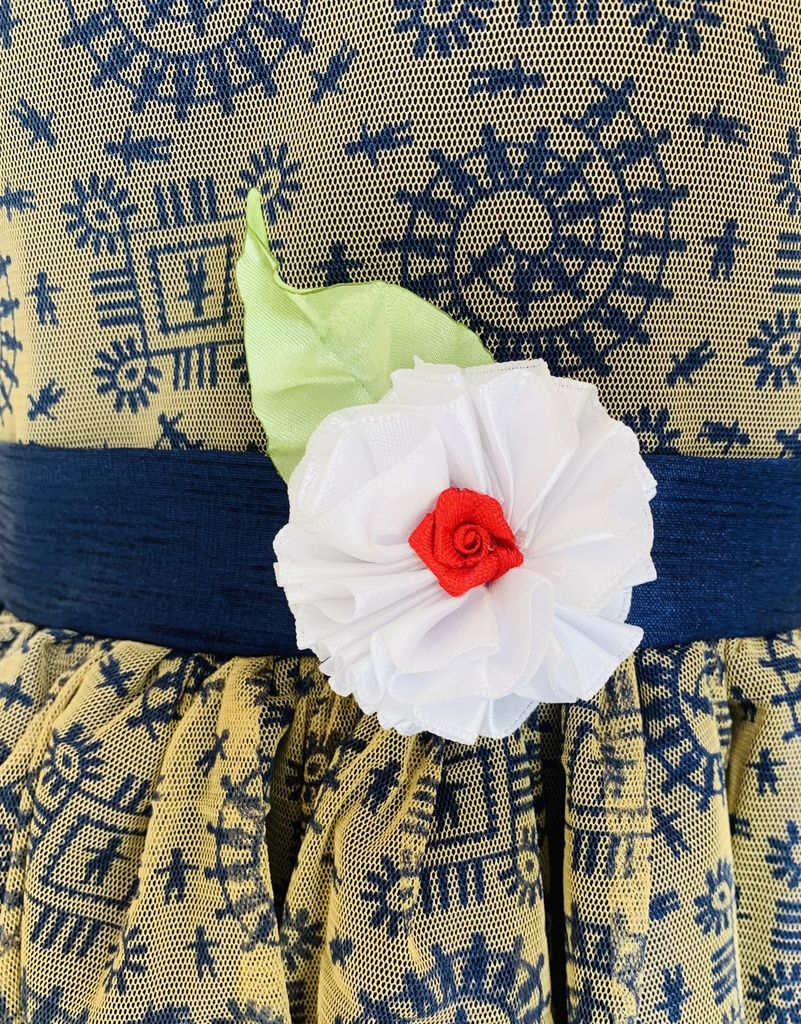 Double Layer Frock For Girl