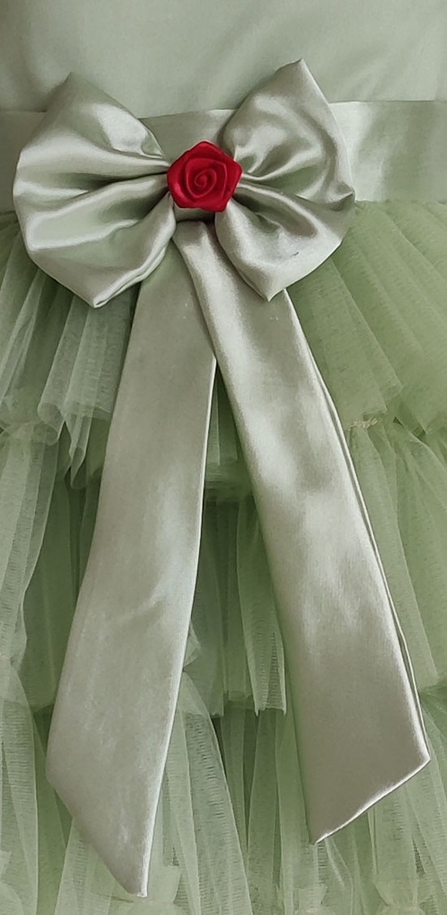 Green Embellished Butterfly Party Frock