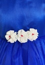 Royal Blue Frock with Frill Half Sleeves