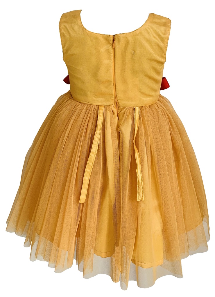 Orange Frock with Printed Net Design