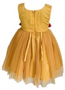 Orange Frock with Printed Net Design
