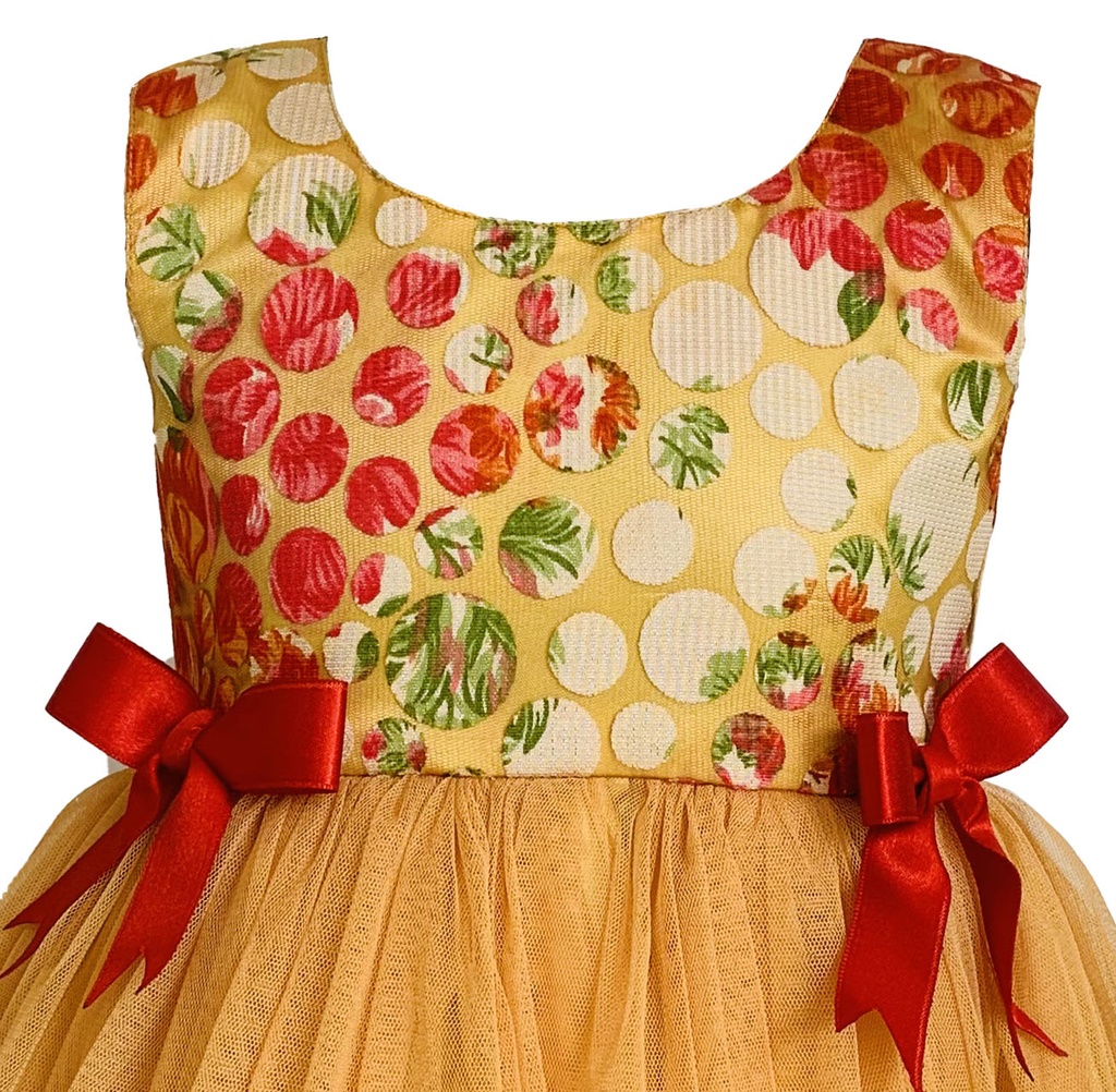 Orange Frock with Printed Net Design