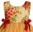Orange Frock with Printed Net Design