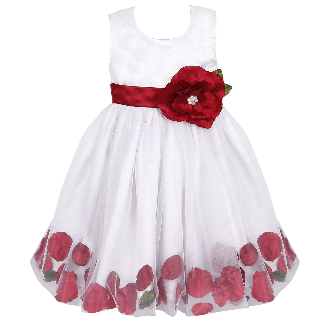 Round Net Flower Design Frock