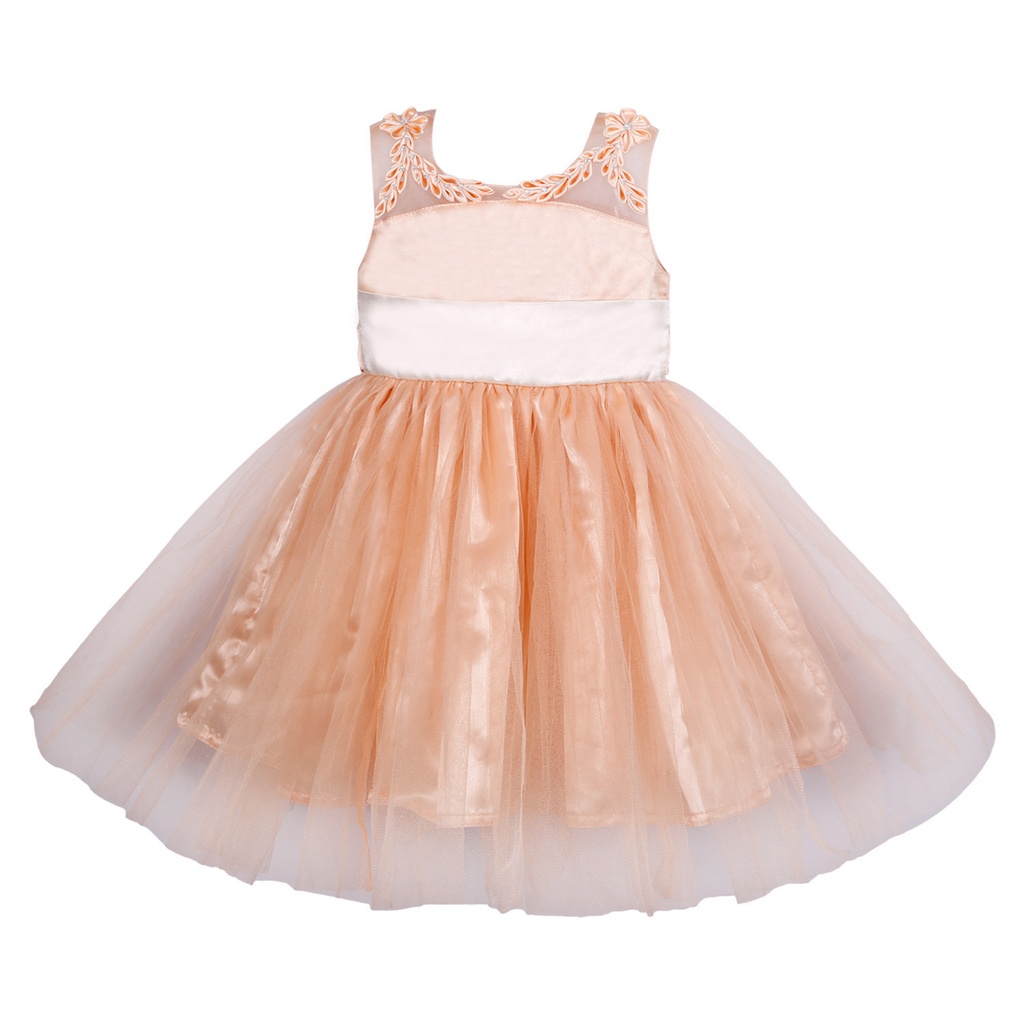 Baby Net Frock