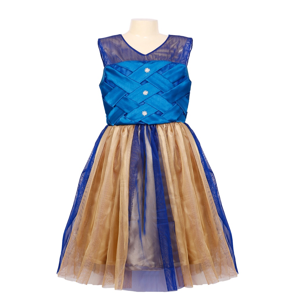 Sleeveless Multi colour Frock