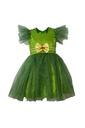 Frill Sleeve Net Frock