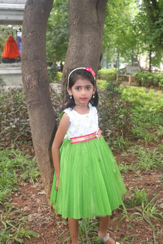 Green Frill Frock