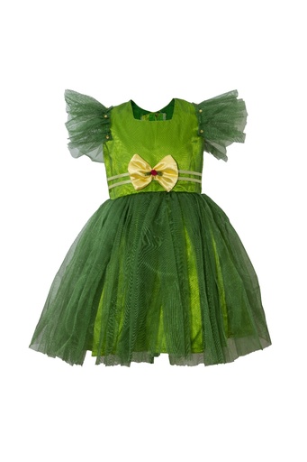 Frill Sleeve Net Frock