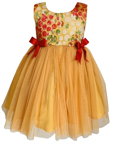 Orange Frock with Printed Net Design